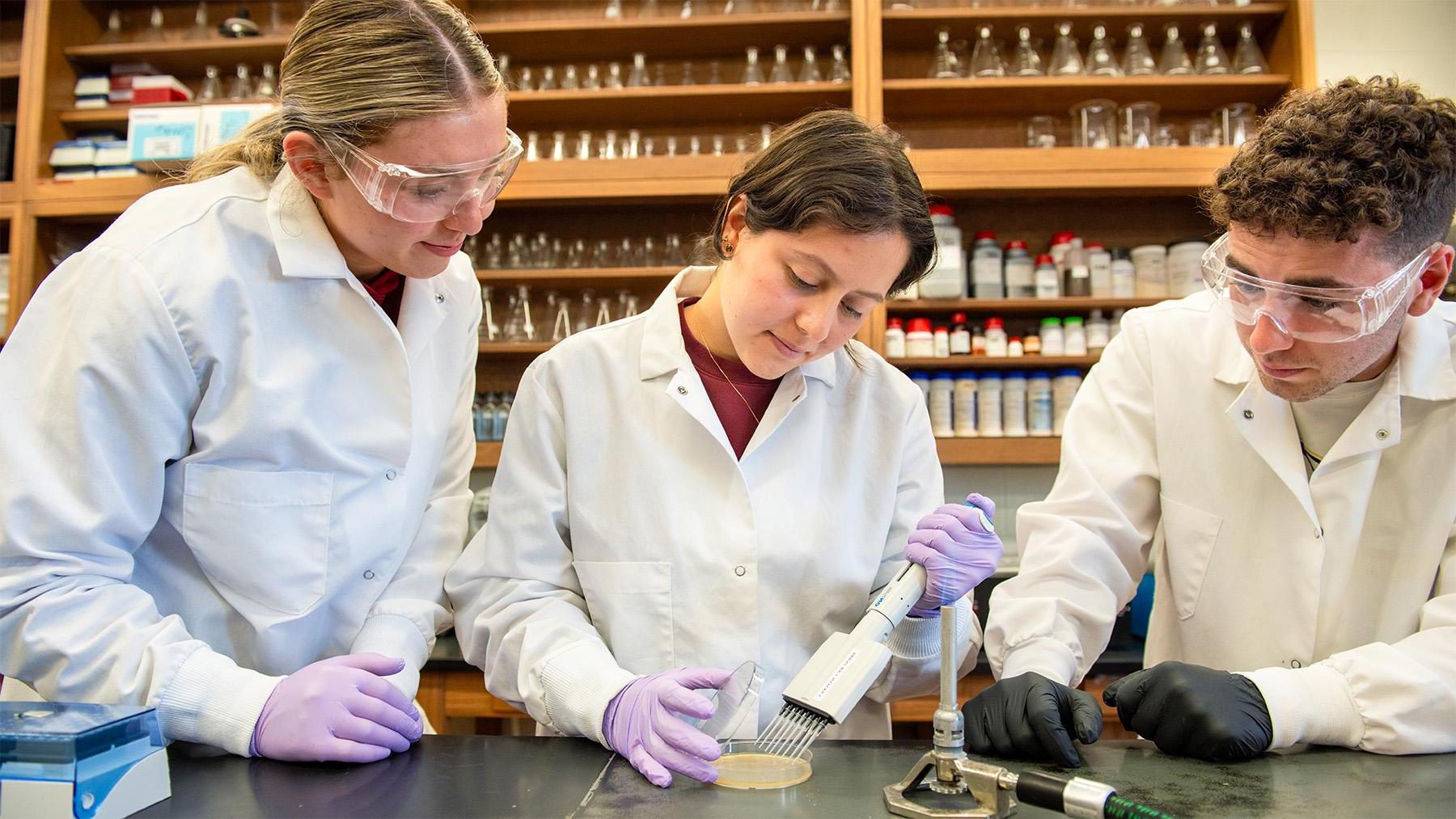 Students taking samples during a lab experiment.